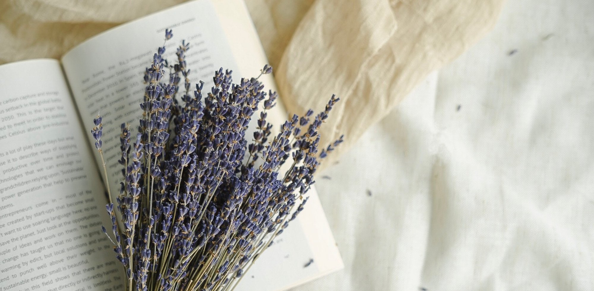 Guide cadeau St-Valentin Bleu Lavande