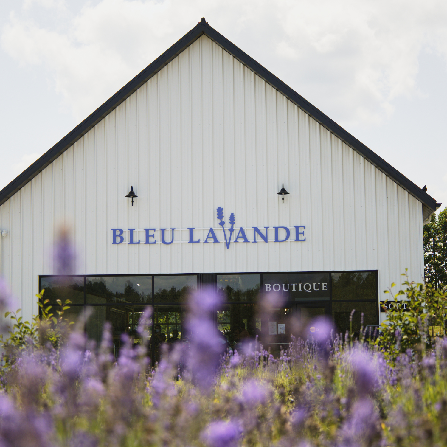 Espaces Bleu Lavande