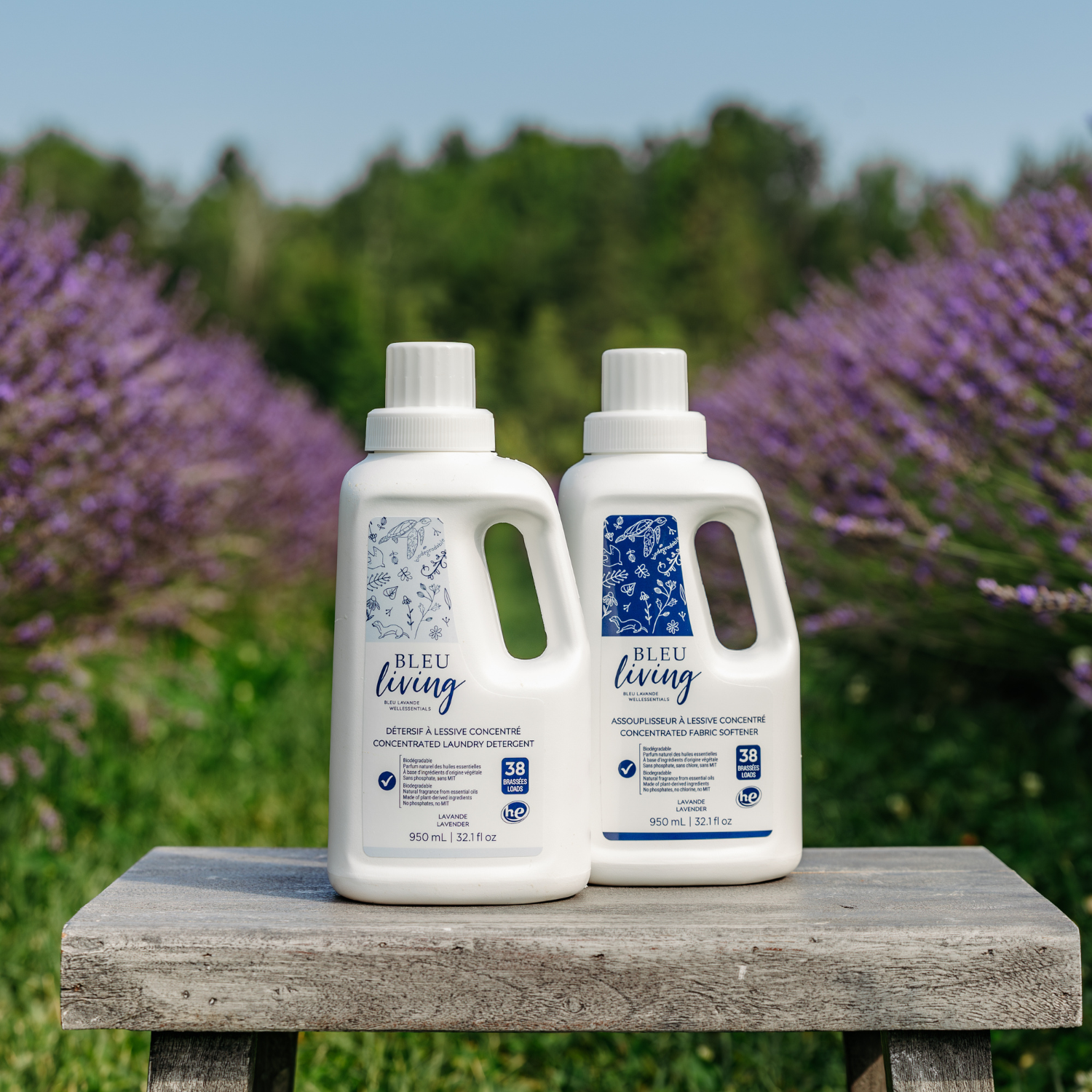 Détersif et assouplisseur à lessive concentrés lavande