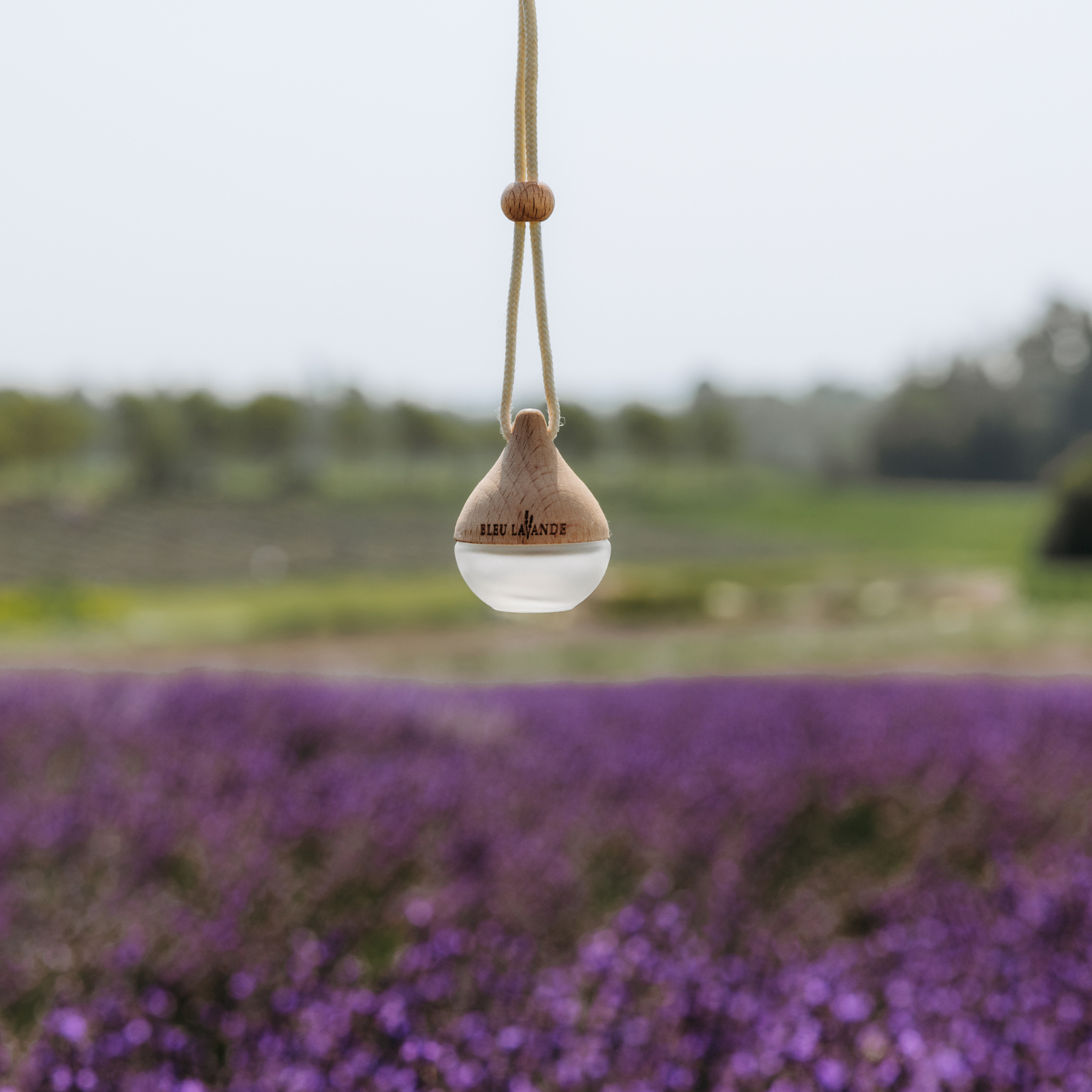 Petit diffuseur d'huiles essentielles Goutte dans les champs de Bleu Lavande à Magog, Québec, Canada