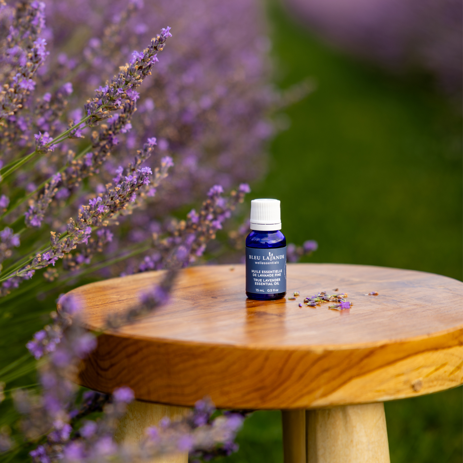 Huile essentielle de Lavandula Angustifolia certifiée ISO 3515