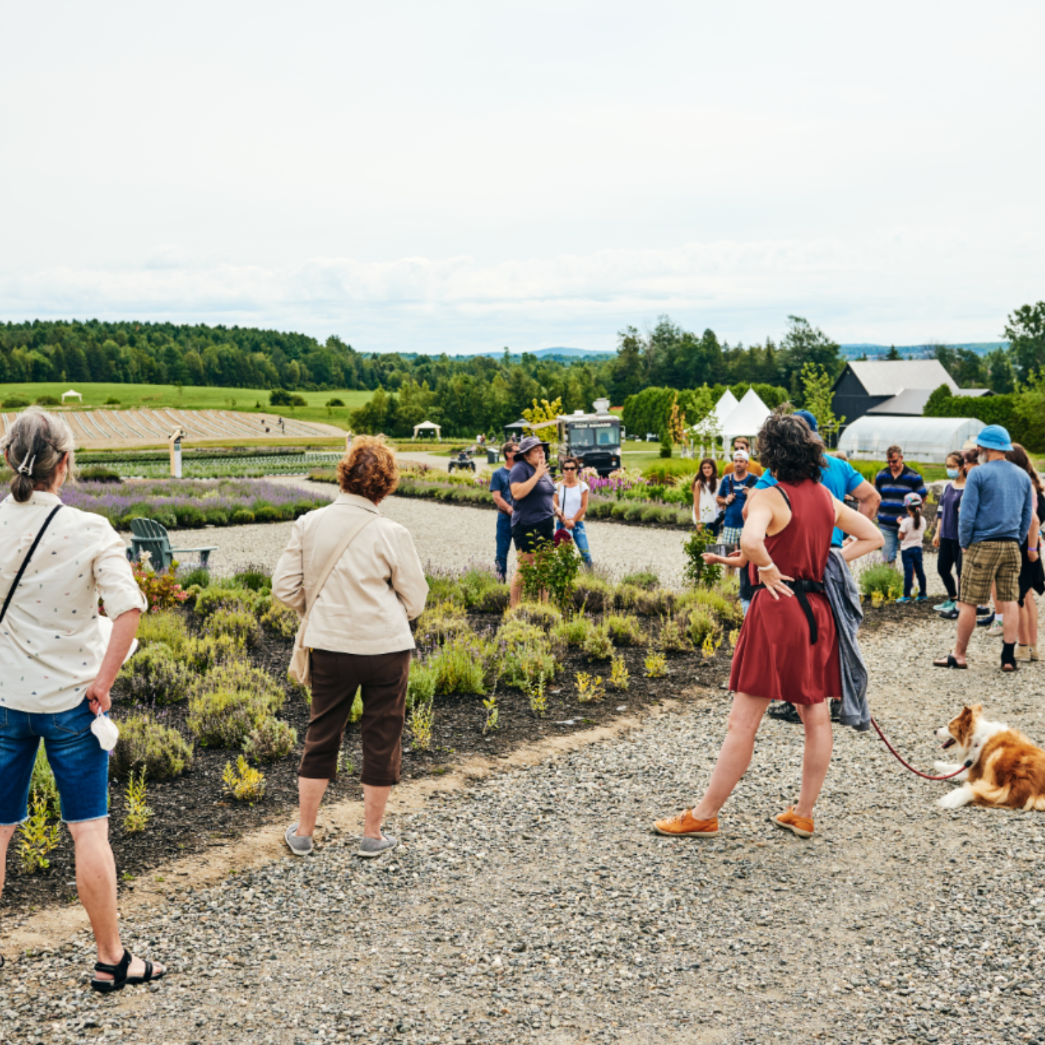 Découvrez le Slow Tourisme : L'art de prendre son temps avec Bleu Lavande