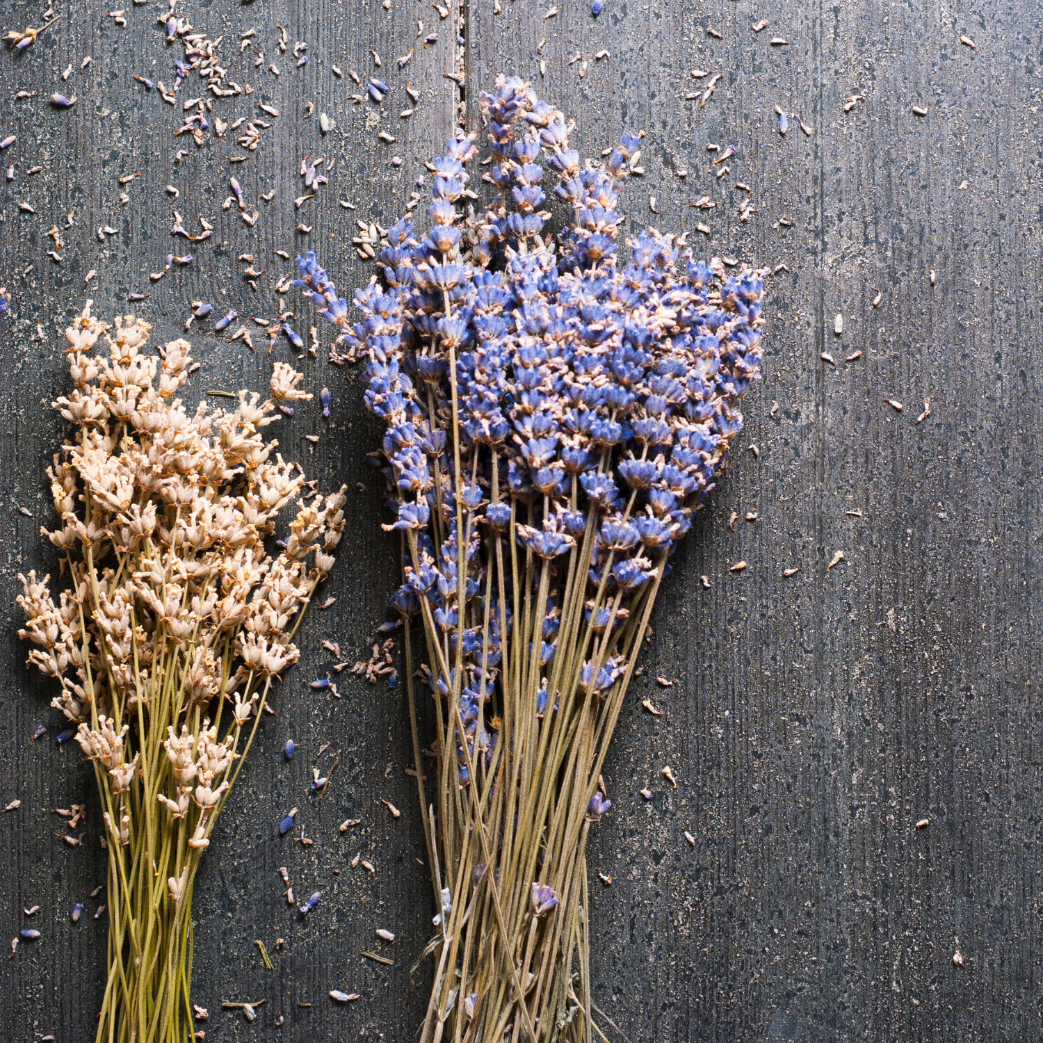 Astuces pour faire des bouquets de fleurs séchées : lavande, eucalyptus et autres fleurs