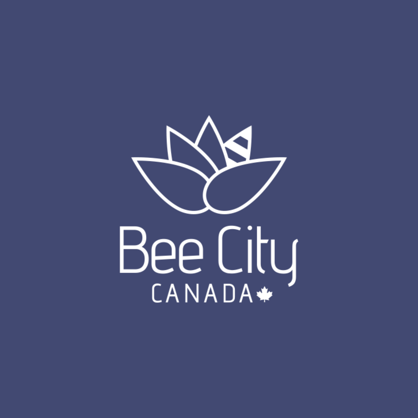 Bleu Lavande collabore avec Bee City Canada pour la survie des abeilles