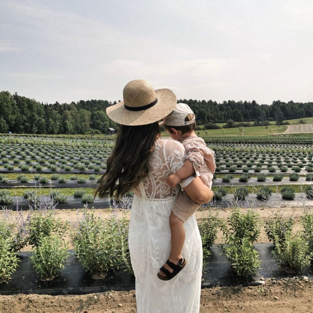 Activité en famille : mère et enfant devant les nouveaux champs de lavande