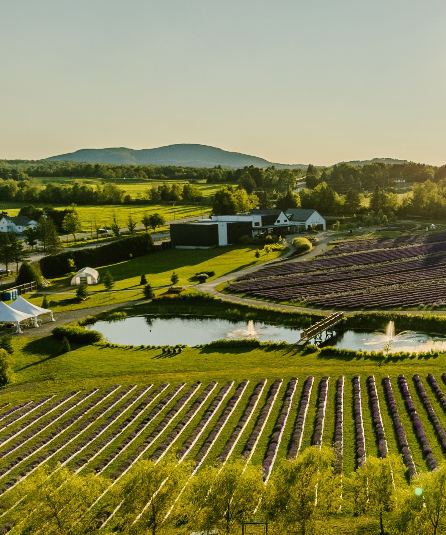 Site touristique de Bleu Lavande à Magog, sur la rue Principale Ouest