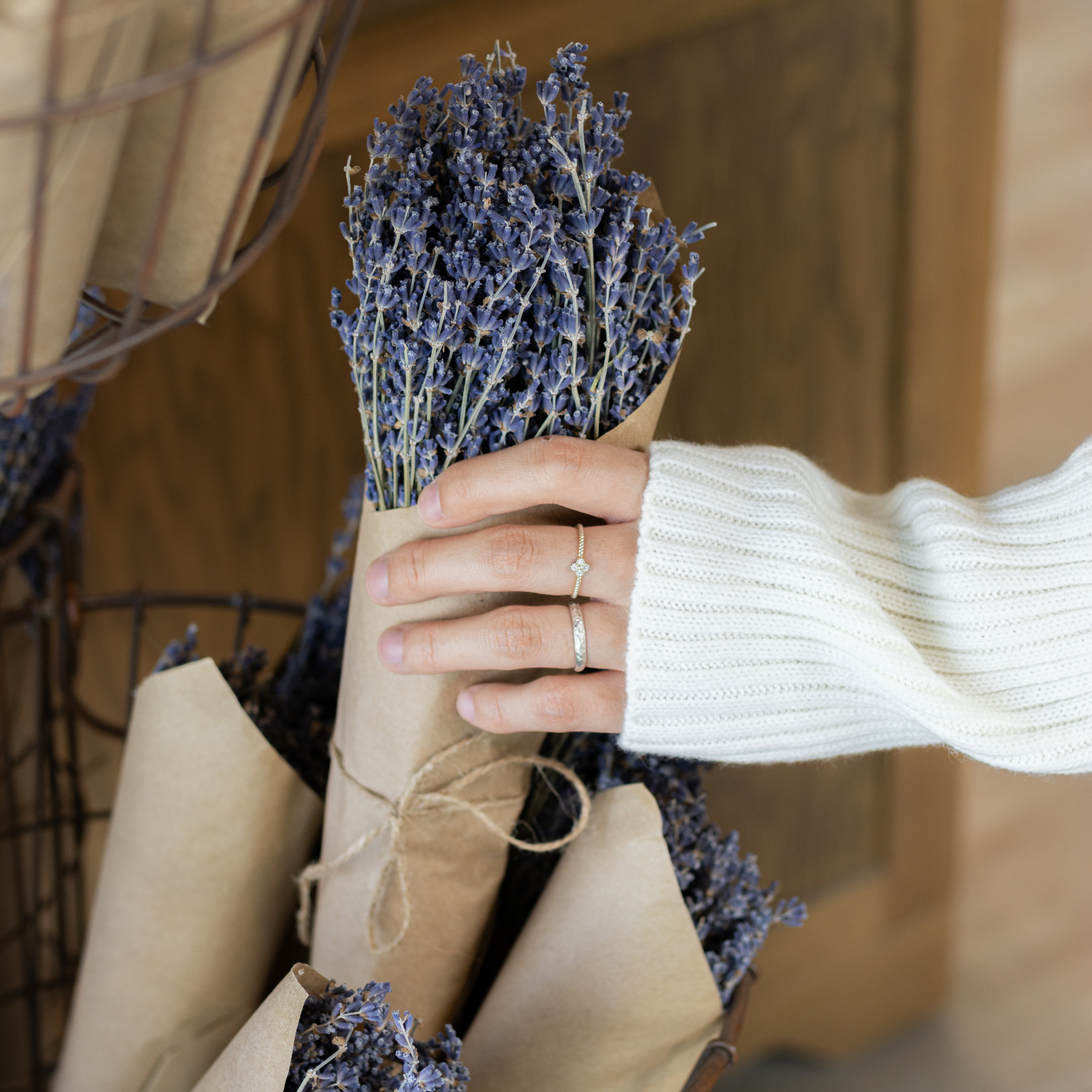 Bouquet de lavande séchée dans la main