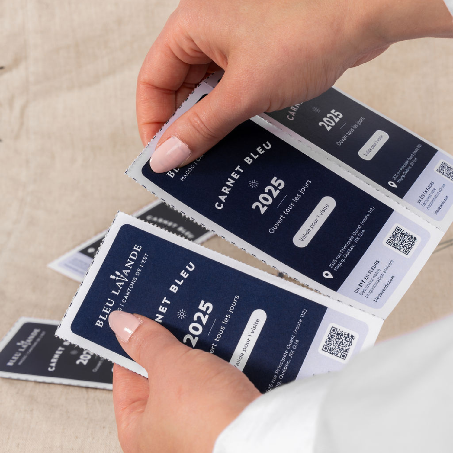 Carnet de 5 billets d'entrée pour les champs Bleu Lavande
