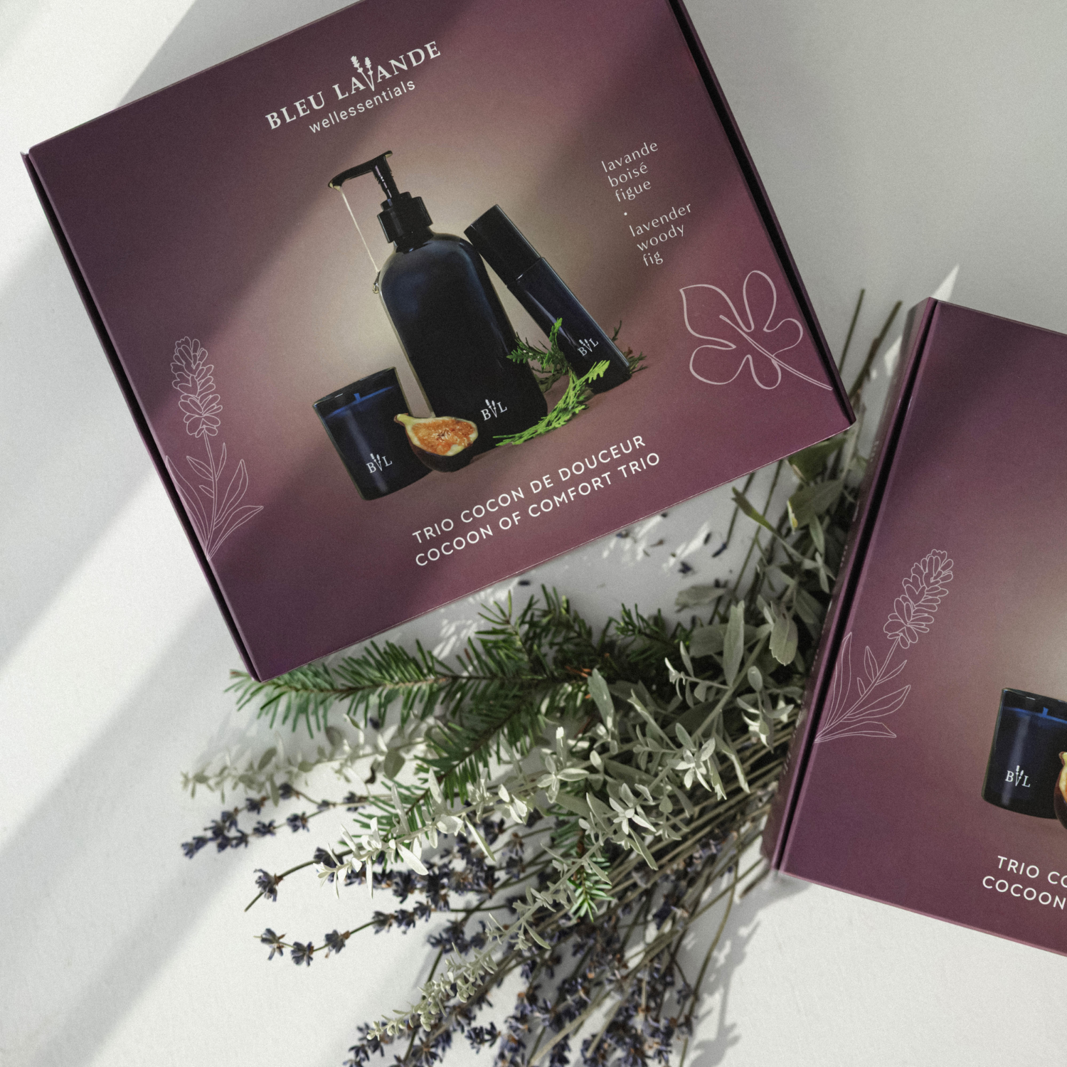 Coffret cadeau cocon de douceur lavande, boisé, figue