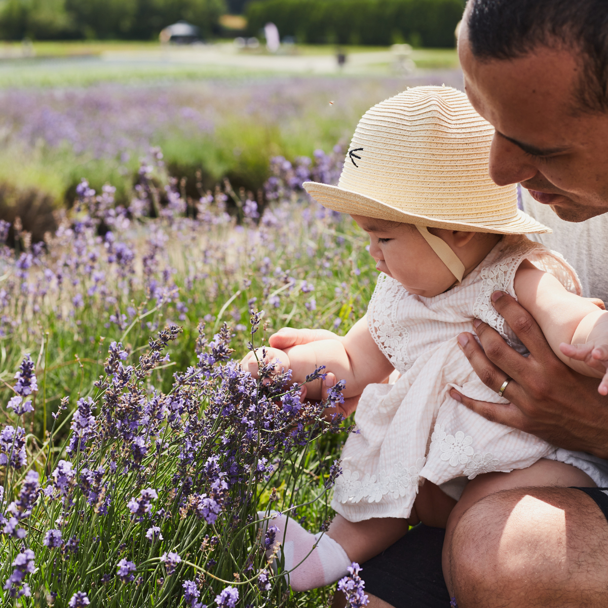 Père et fille dans un champ de lavande | Family in lavender field near Montreal