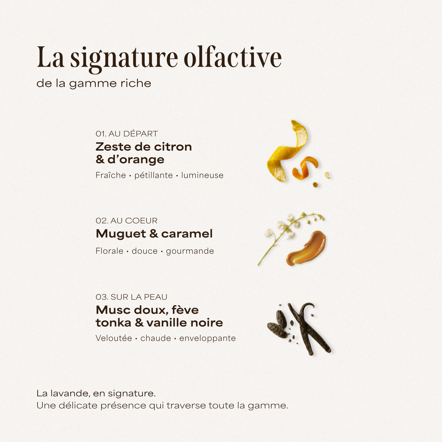 Signature olfactive des cinq produits de la collection Soin riche