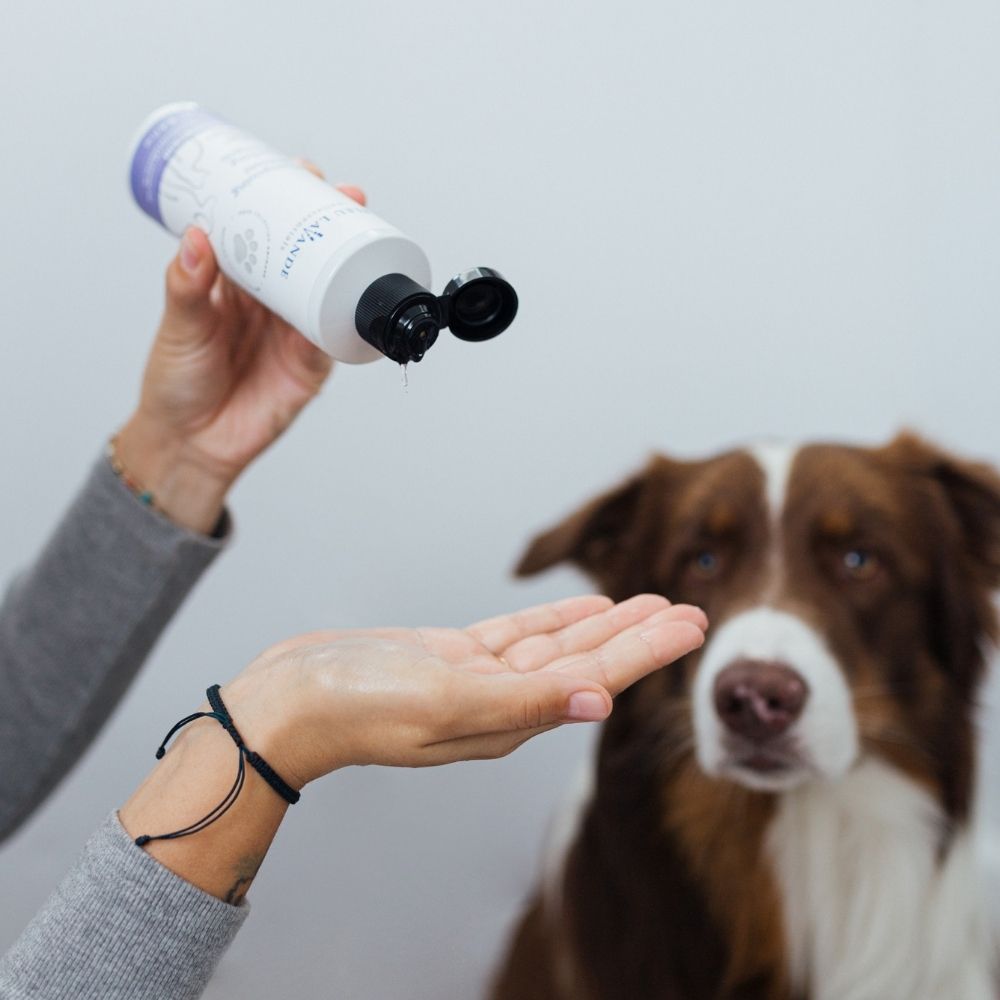 Shampooing apaisant pour chien fait avec des ingrédients d'origine naturelle